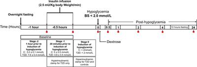 Soluble Neuropilin-1 Response to Hypoglycemia in Type 2 Diabetes: Increased Risk or Protection in SARS-CoV-2 Infection?